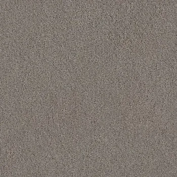 Draufsicht Girloon TWIN Teppichboden Velours 745 Braun, 2/4 m breit